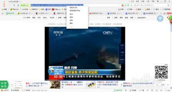 cctv视频下载,揭秘精彩瞬间
